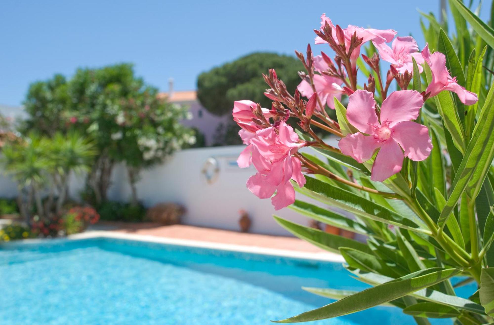 Apartamentos Turisticos Sollagos Bagian luar foto